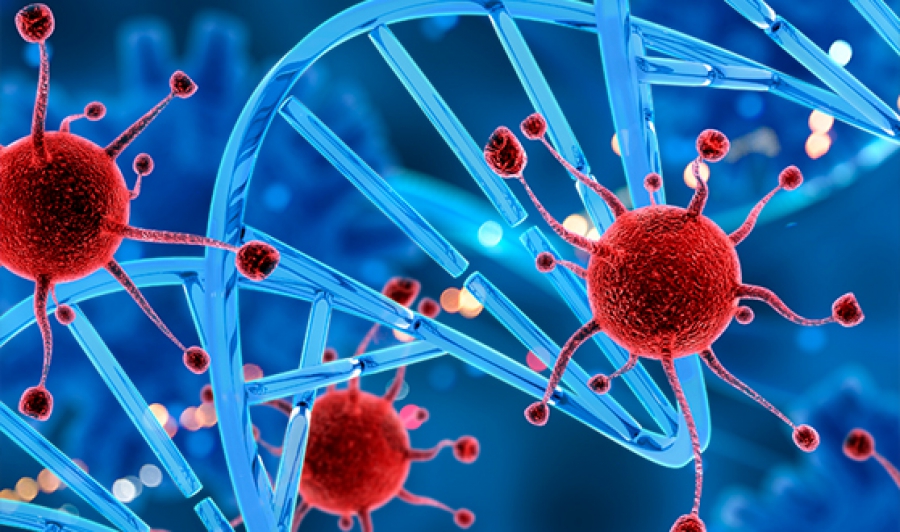 Tratamento de quimioterapia na Plena Saúde em Porto Velho